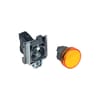 Miniatuur 1