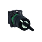 Schneider Electric - Harmony XB5 Keuzeschakelaar Sleutelschak 2 Pos Xb5Ag41