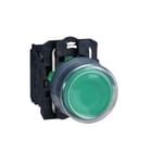 Schneider Electric - Harmony XB5 Drukknop Xb5Ap31