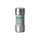 Schneider Electric - Cilindrische zekering Buisveiligh Df2Fa100