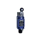 TeSensors - Eindschakelaar Eindschak Xckj390511H29Ex
