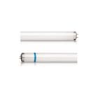 Philips - Actinic BL TL-D UV-lamp 15W/10 Secu