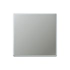 Jung - Aluminium/Edelstaal/Chroom Bed.element / centr.pl. schakelmat. Wip Univ Rvs