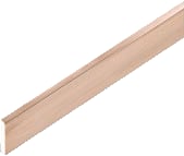 NVent ERIFLEX - Railkoper Aardrail Pcb 12X4Mm Lg2