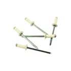 TIP - Blindklinknagel Blndklngl 4X10,0 Wt Ds500