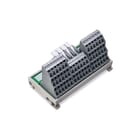 Wago - Interfacemodule 830-800/000-318