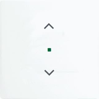 ABB Busch-Jaeger - F@home, KNX, Future Bed.element / centr.pl. schakelmat. Fah Wip 1V Jal Wt