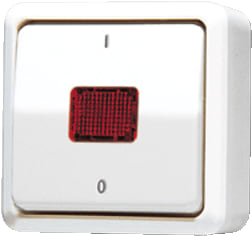 Jung - AP600 Installatieschakelaar Schak 2Pol Contr Alp Opb