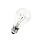 Bailey - GLS Gloeilamp standaard E27 Peer A60 24V 60W Hld