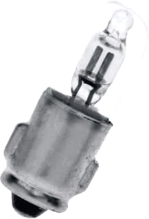 Bailey - Neonlamp neonlmp nb22110gc