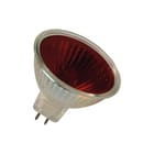 Bailey - Halogen Reflector Laagvolt halogeenreflectorlamp Mr16 Gu5.3 12V 50W 38D Rd