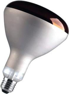 VICTORY - IR-lamp Ir 250W E27 Red Hard Glass