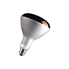 VICTORY - IR-lamp Ir 250W E27 Red Hard Glass