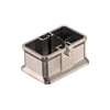 Miniatuur 1