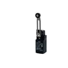 Omron - SAFETY PRODUCTS D4D/N Eindschakelaar Instelb Hefboom Rol 10A