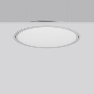 RZB - Triona Plafond-/wandarmatuur  312296.004.2.12