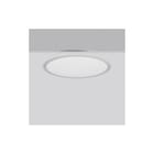 RZB - Triona Plafond-/wandarmatuur  312296.004.2.12