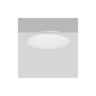 RZB - Triona Plafond-/wandarmatuur 312296.002.2.12