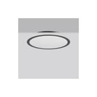 RZB - Triona Plafond-/wandarmatuur 312296.0031.2.12