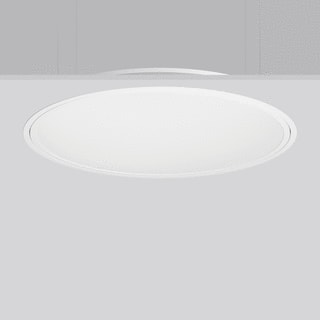 RZB - Triona Plafond-/wandarmatuur  312299.002.12