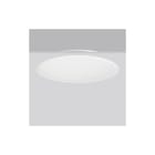 RZB - Triona Plafond-/wandarmatuur 312299.002.2.12
