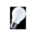 Dr. Fischer - Studio-, projectie- en fotolamp pf605e e27 220v150w enlrg