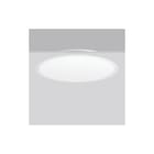 RZB - Triona Plafond-/wandarmatuur 312387.002.2.12