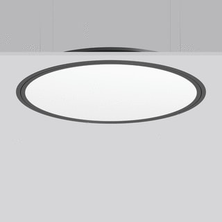 RZB - Triona Plafond-/wandarmatuur  312387.0031.12