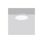 RZB - Triona Plafond-/wandarmatuur 312419.002.12