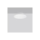 RZB - Triona Plafond-/wandarmatuur 312423.002.12