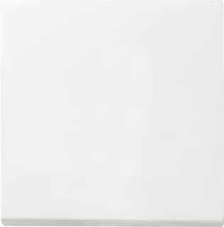 Gira - Systeem 55 OUD Bed.element / centr.pl. schakelmat. Wipvlakpl Wt Zwm