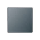 Gira - Systeem 55 OUD Bed.element / centr.pl. schakelmat. Wipvlakpl Wt Ant