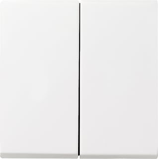 Gira - Systeem 55 OUD Bed.element / centr.pl. schakelmat. Wipvlakpl Zwm 55