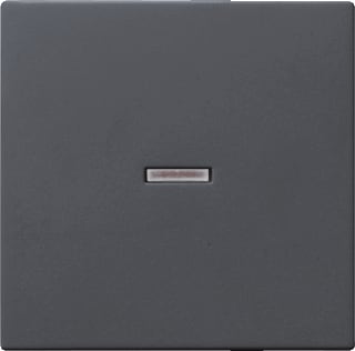 Gira - Systeem 55 OUD Bed.element / centr.pl. schakelmat. Wip Schak Ant 55
