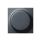 Gira - Systeem 55 Bed.element / centr.pl. schakelmat. Cpl+Knop Dim Ant