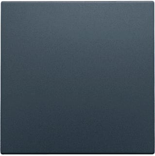 Niko - Pure Bed.element / centr.pl. schakelmat. 220-76001