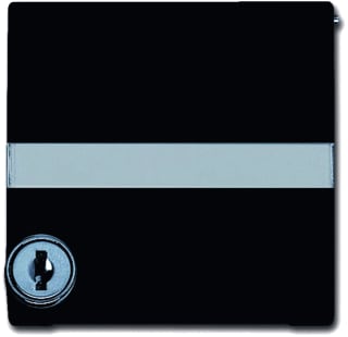 ABB Busch-Jaeger - Allw. 44 Overgangsafdekplaat schakelmat. cpl+tekstkd+eh.slot ver a-a