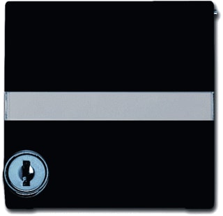 ABB Busch-Jaeger - Allw. 44 Overgangsafdekplaat schakelmat. cpl+tekstkd+slot ver si br