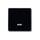 ABB Busch-Jaeger - Future, Axcent, Carat Bed.element / centr.pl. schakelmat. Tst Dim 6565U Ant