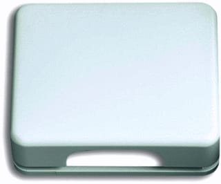 ABB Busch-Jaeger - Alpha Overgangsafdekplaat schakelmat. cpl kd v 50x50 cpl alb/swit