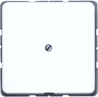 Jung - CD500 Inzetplaat schakelmateriaal afd. cd590abr