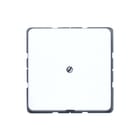 Jung - CD500 Inzetplaat schakelmateriaal afd. cd590abr