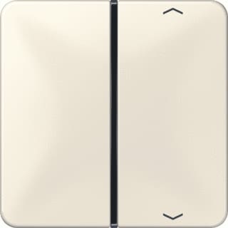 Jung - Bed.element / centr.pl. schakelmat. Tstafd Pijl 1V Wt