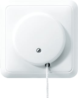 Jung - ST550 Installatieschakelaar Trekschk.St550 2-Pl. Afd.