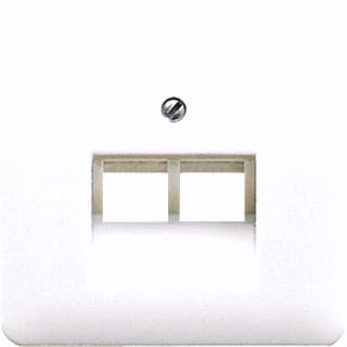 Jung - CD500 Inzetplaat schakelmateriaal Afd. Cd569-2Ualg