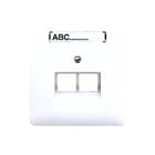 Jung - CD500 Inzetplaat schakelmateriaal Afd. Cd569-2Nauasw
