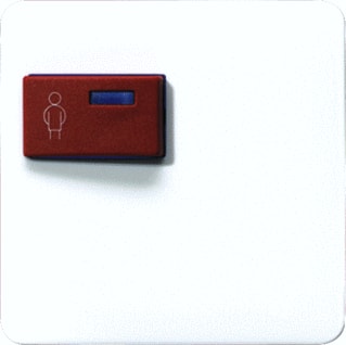 Jung - CD500 Inzetplaat schakelmateriaal afd. cd071cww