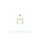 Jung - CD500 Inzetplaat schakelmateriaal Afd. Cd569-1Ualg