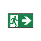 Famostar - D-Sign Picto Pictogram noodverlichting Cinema Dim Ez R7.1