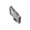 Miniatuur 1
